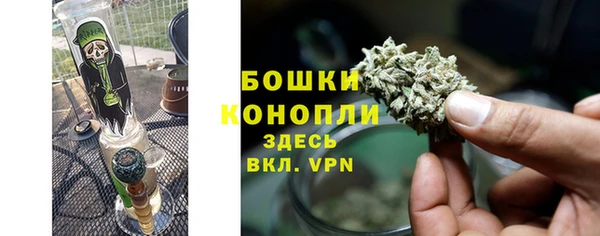 ПСИЛОЦИБИНОВЫЕ ГРИБЫ Армянск