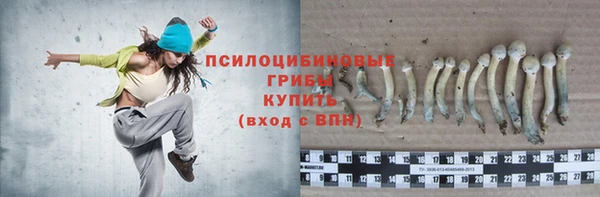 ПСИЛОЦИБИНОВЫЕ ГРИБЫ Армянск