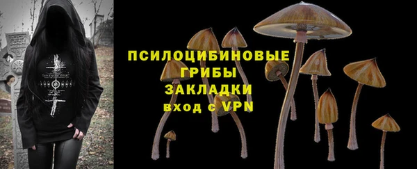 ПСИЛОЦИБИНОВЫЕ ГРИБЫ Армянск