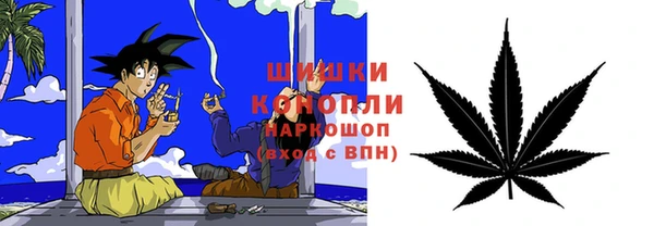 ПСИЛОЦИБИНОВЫЕ ГРИБЫ Аркадак