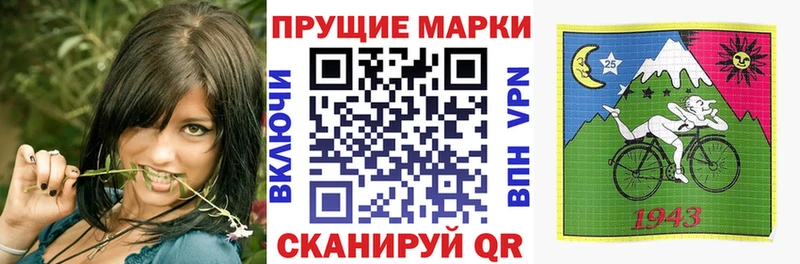 Купить  Судак  Марки NBOMe 1,8мг 