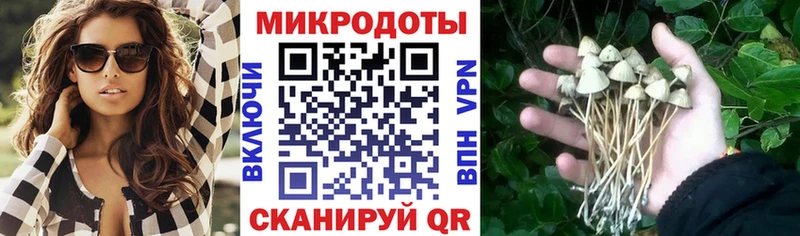 Купить закладки  Судак  Псилоцибиновые грибы Psilocybe 